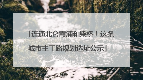 连通北仑霞浦和柴桥！这条城市主干路规划选址公示