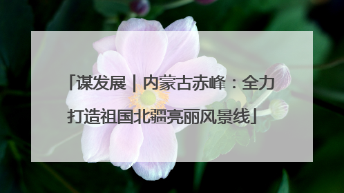 谋发展｜内蒙古赤峰：全力打造祖国北疆亮丽风景线