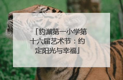 豹澥第一小学第十六届艺术节：约定阳光与幸福