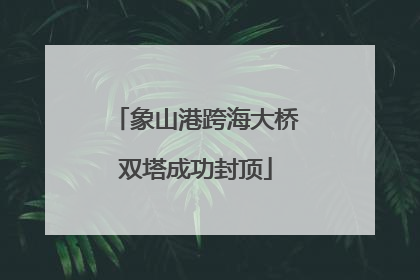 象山港跨海大桥双塔成功封顶