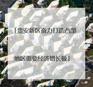 贵安新区奋力打造西部地区重要经济增长极