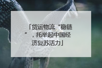 货运物流“稳链”，托举起中国经济复苏活力