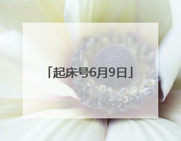 起床号6月9日