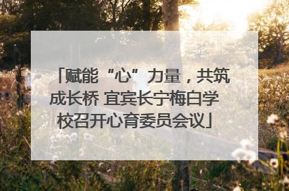赋能“心”力量，共筑成长桥 宜宾长宁梅白学校召开心育委员会议