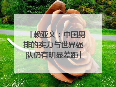 赖亚文：中国男排的实力与世界强队仍有明显差距
