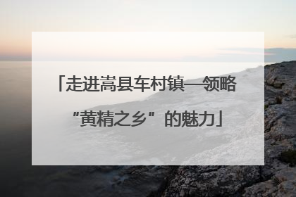 走进嵩县车村镇—领略“黄精之乡”的魅力