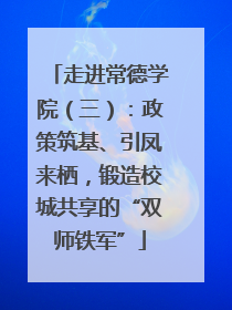 走进常德学院（三）：政策筑基、引凤来栖，锻造校城共享的“双师铁军”