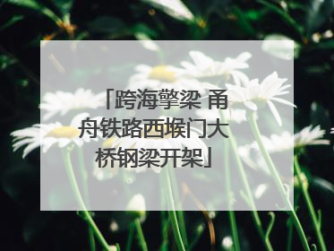 跨海擎梁 甬舟铁路西堠门大桥钢梁开架