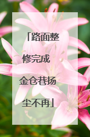 路面整修完成 金仓巷扬尘不再
