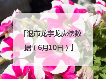 退市龙宇龙虎榜数据（6月10日）