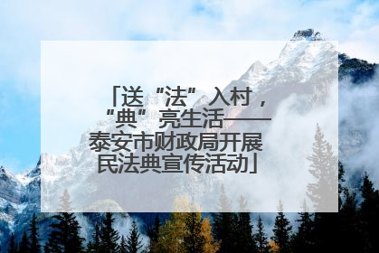 送“法”入村，“典”亮生活——泰安市财政局开展民法典宣传活动
