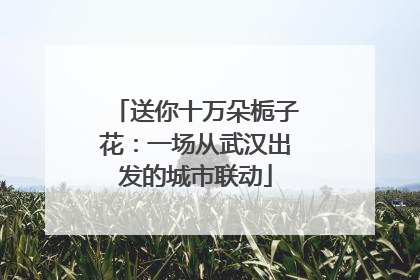 送你十万朵栀子花：一场从武汉出发的城市联动