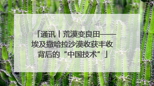 通讯丨荒漠变良田——埃及撒哈拉沙漠收获丰收背后的“中国技术”