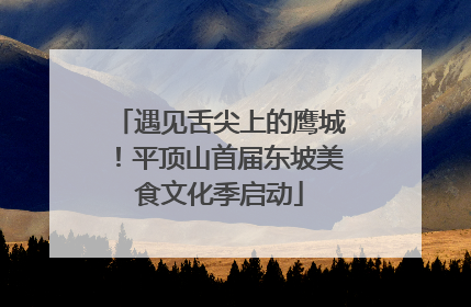 遇见舌尖上的鹰城！平顶山首届东坡美食文化季启动