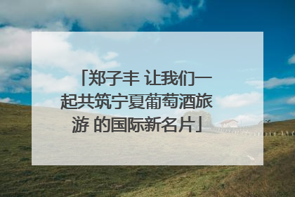 郑子丰 让我们一起共筑宁夏葡萄酒旅游 的国际新名片