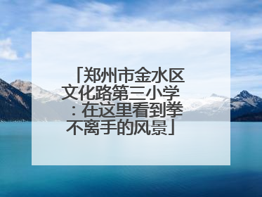 郑州市金水区文化路第三小学：在这里看到拳不离手的风景