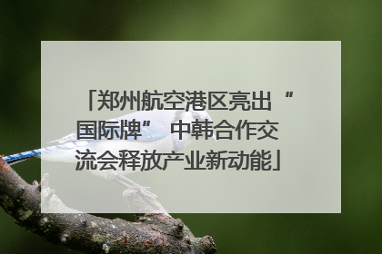 郑州航空港区亮出“国际牌” 中韩合作交流会释放产业新动能