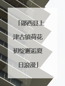 郧西县上津古镇荷花初绽邂逅夏日浪漫