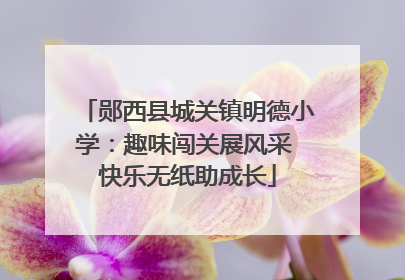 郧西县城关镇明德小学：趣味闯关展风采 快乐无纸助成长