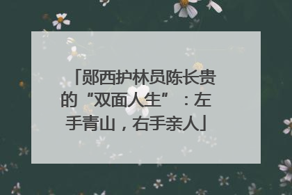 郧西护林员陈长贵的“双面人生”：左手青山，右手亲人