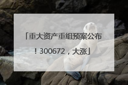 重大资产重组预案公布！300672，大涨