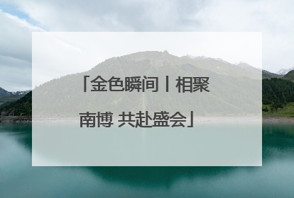 金色瞬间丨相聚南博 共赴盛会