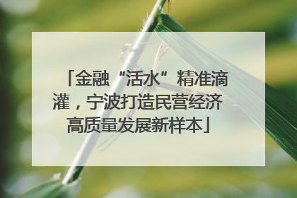 金融“活水”精准滴灌，宁波打造民营经济高质量发展新样本