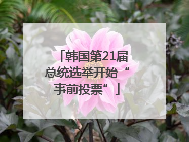 韩国第21届总统选举开始“事前投票”