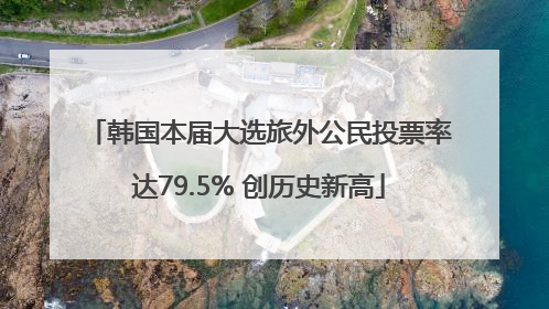 韩国本届大选旅外公民投票率达79.5% 创历史新高
