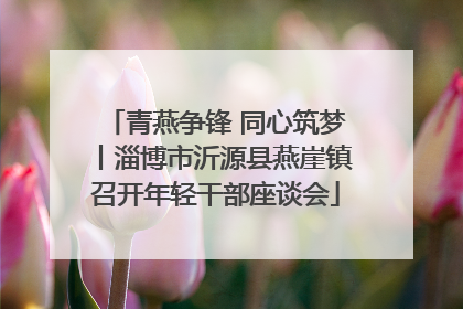 青燕争锋 同心筑梦丨淄博市沂源县燕崖镇召开年轻干部座谈会