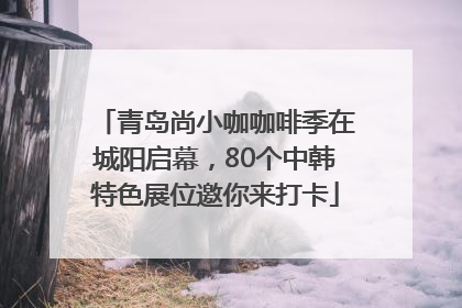 青岛尚小咖咖啡季在城阳启幕，80个中韩特色展位邀你来打卡