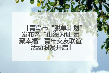 青岛市“脱单计划”发布暨“山海为证 团聚幸福”青年交友联谊活动浪漫开启