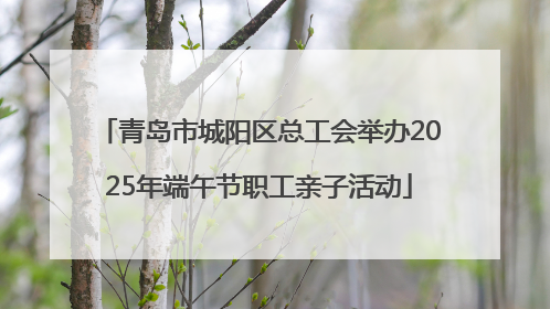 青岛市城阳区总工会举办2025年端午节职工亲子活动