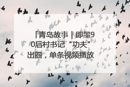 青岛故事｜即墨90后村书记“功夫”出圈，单条视频播放量过600万