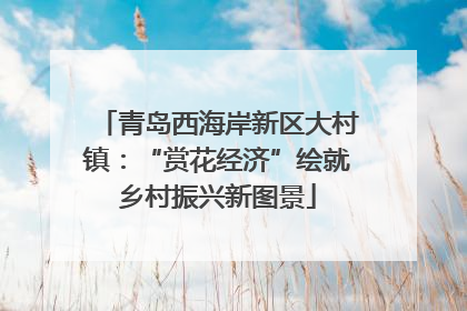 青岛西海岸新区大村镇：“赏花经济”绘就乡村振兴新图景