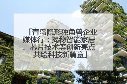 青岛隐形独角兽企业媒体行：揭秘智能家居、芯片技术等创新亮点 共绘科技新篇章
