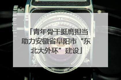 青年骨干挺膺担当 助力安徽省阜阳市“东北大外环”建设