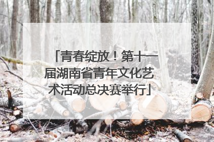 青春绽放！第十一届湖南省青年文化艺术活动总决赛举行