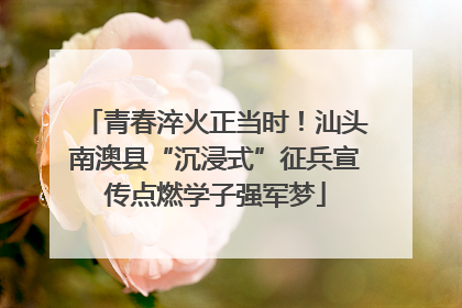 青春淬火正当时！汕头南澳县“沉浸式”征兵宣传点燃学子强军梦