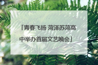 青春飞扬 菏泽苏菏高中举办首届文艺晚会