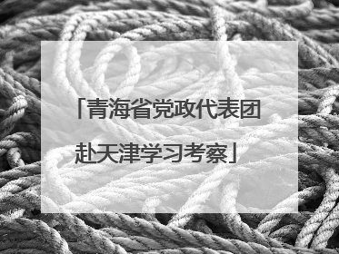 青海省党政代表团赴天津学习考察