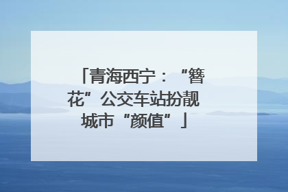 青海西宁：“簪花”公交车站扮靓城市“颜值”