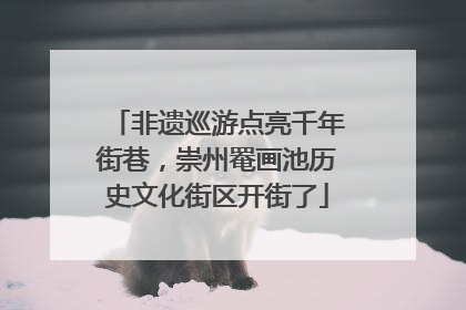 非遗巡游点亮千年街巷，崇州罨画池历史文化街区开街了