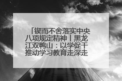 锲而不舍落实中央八项规定精神丨黑龙江双鸭山：以学促干推动学习教育走深走实 从小事入手写好“民生答卷”