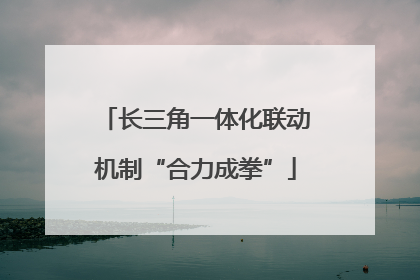 长三角一体化联动机制“合力成拳”