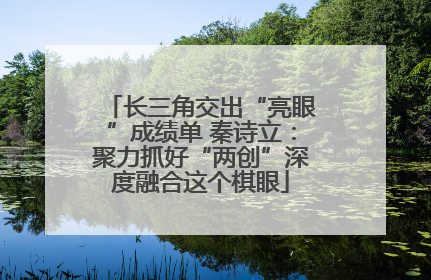 长三角交出“亮眼”成绩单 秦诗立：聚力抓好“两创”深度融合这个棋眼
