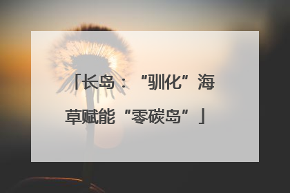 长岛：“驯化”海草赋能“零碳岛”