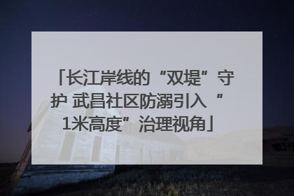 长江岸线的“双堤”守护 武昌社区防溺引入“1米高度”治理视角