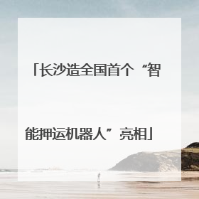 长沙造全国首个“智能押运机器人”亮相