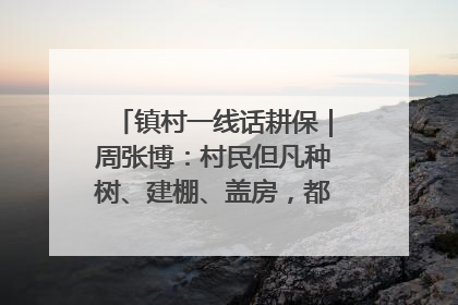 镇村一线话耕保｜周张博：村民但凡种树、建棚、盖房，都要向街道报批
